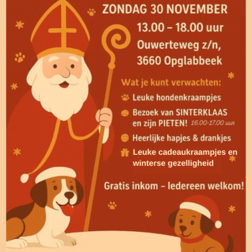 Sinterklaasmarkt