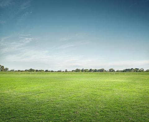 leeg veld